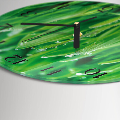 Ceas din sticlă rotund Iarbă verde