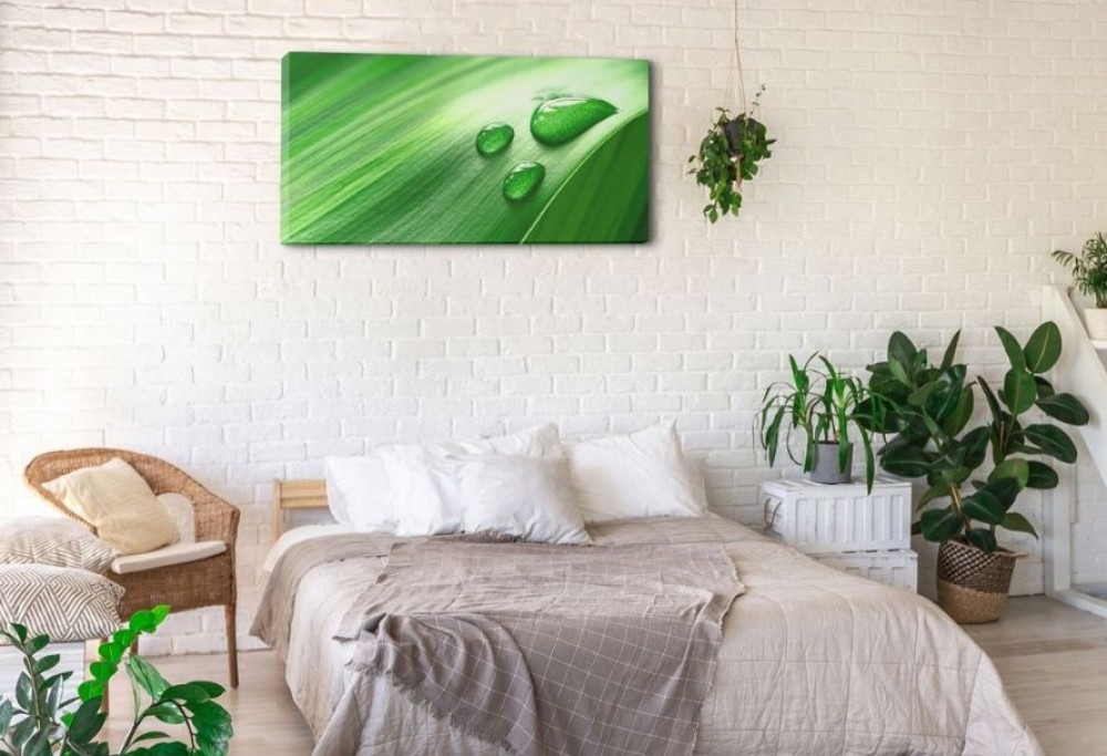 decoratiuni apartament inchiriat