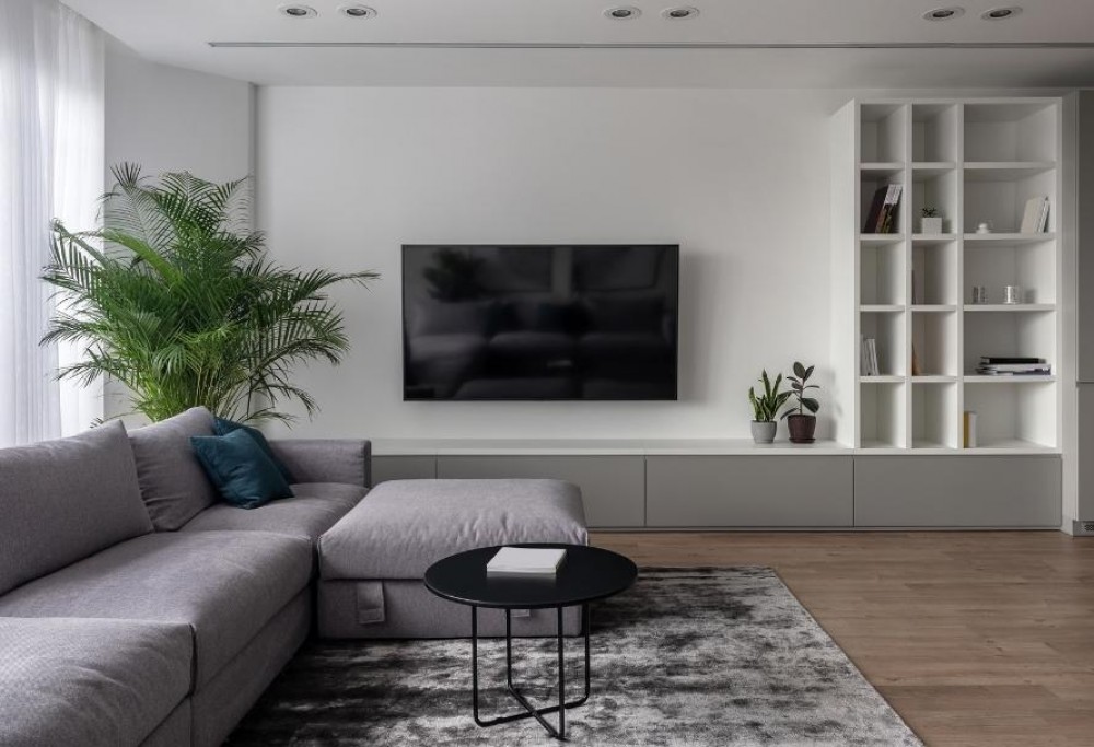 perete cu TV