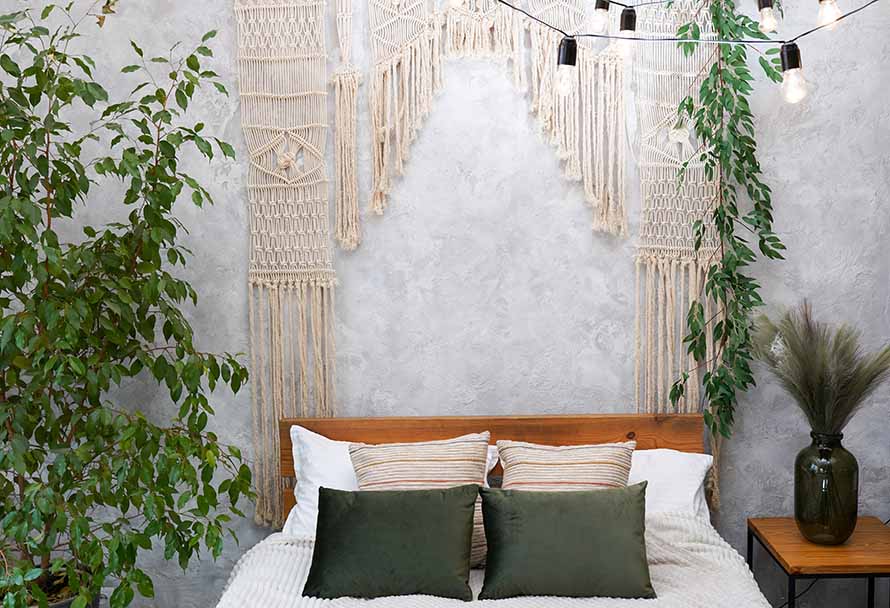 Flori pentru dormitor - cele mai bune plante pentru purificarea aerului și asigurarea unui somn sănătos